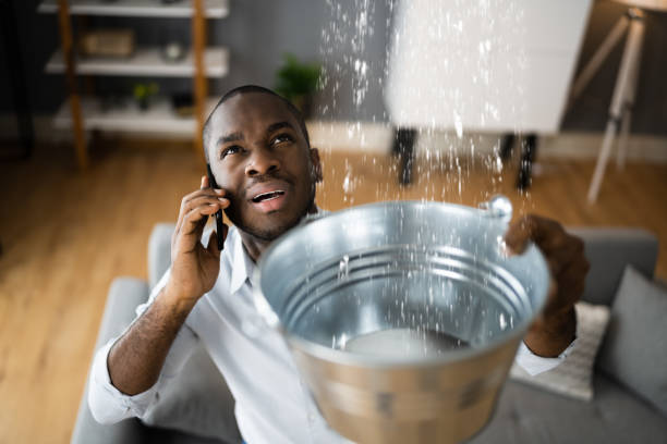 Best Flooded house restoration  in Jupiter, FL