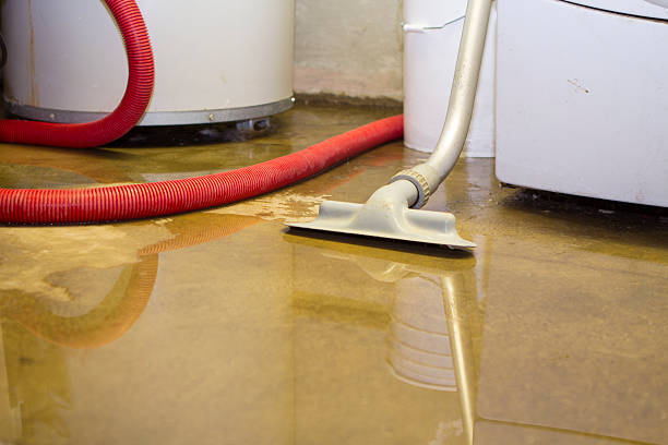 Best 24/7 water damage repair  in Jupiter, FL