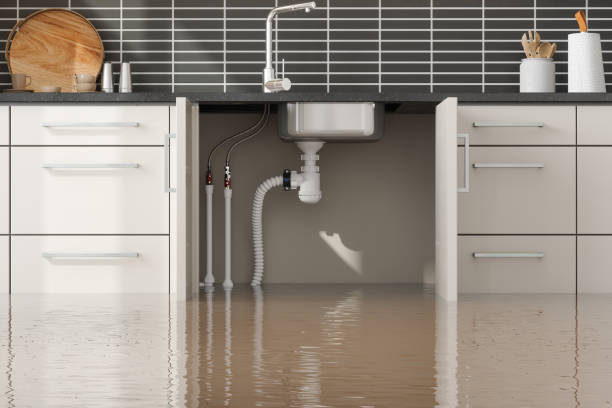 Best Basement water damage restoration  in Jupiter, FL
